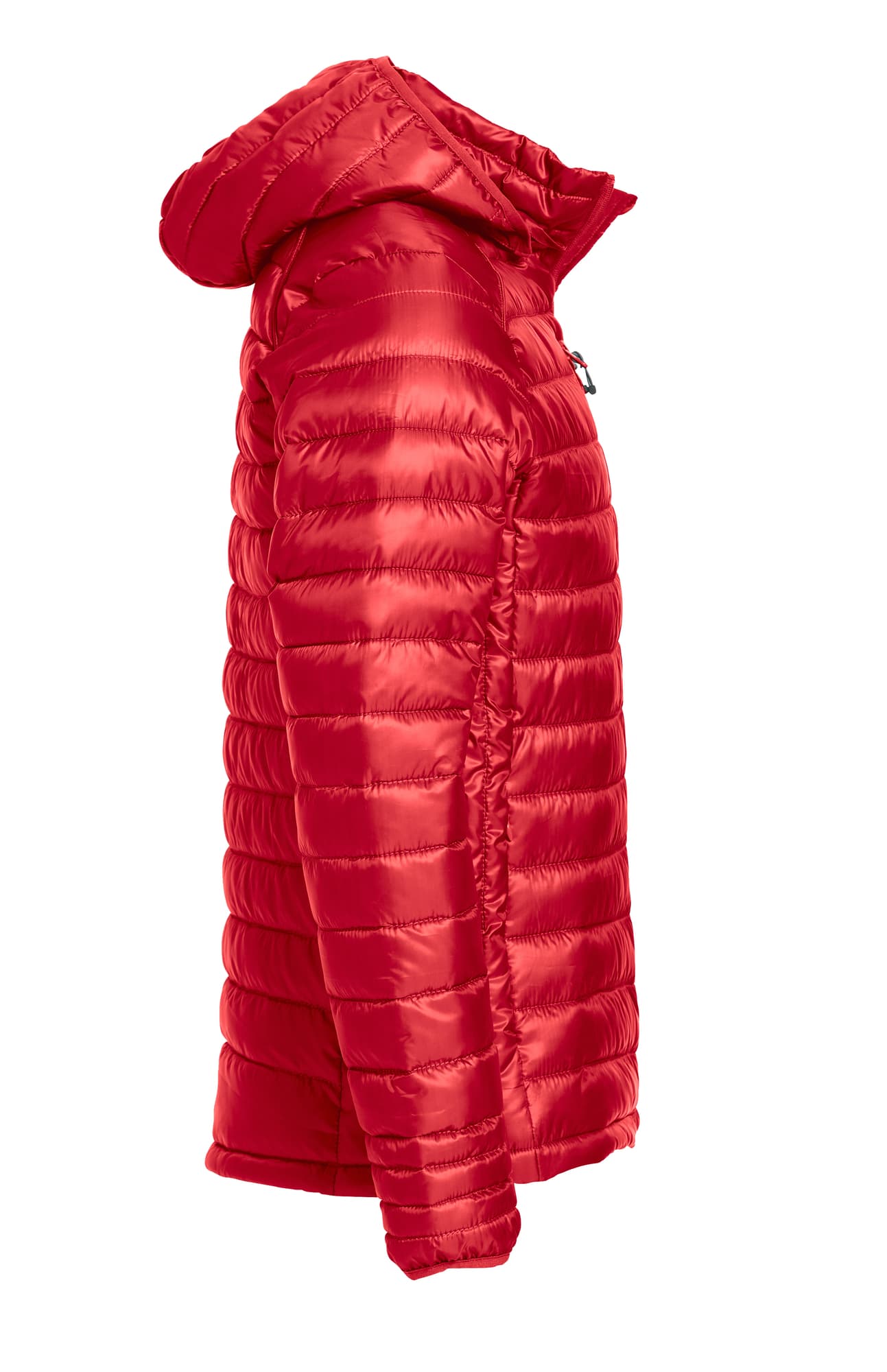 Hudson Junior – bilde 4