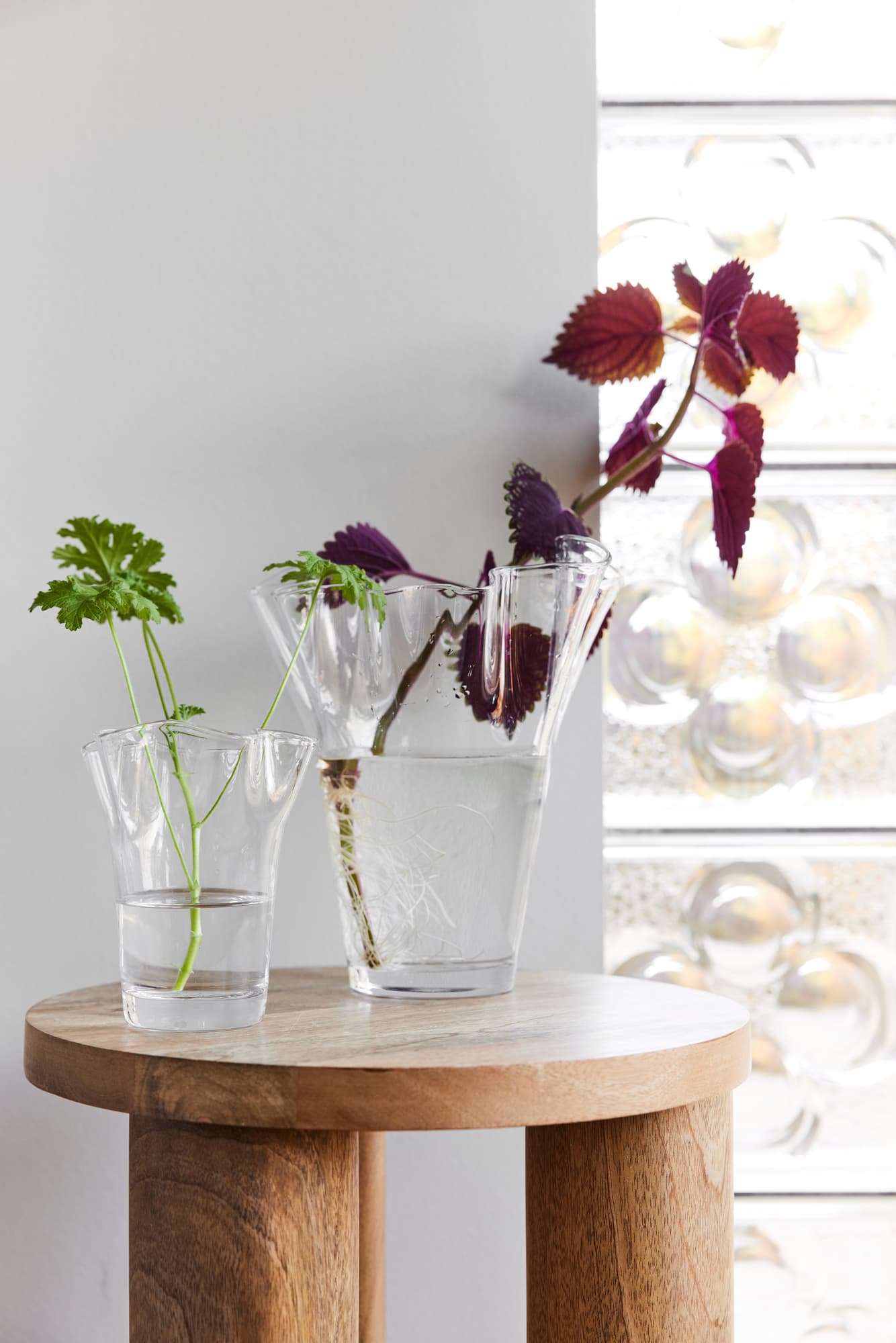 Viva Vase, Stor – bilde 3