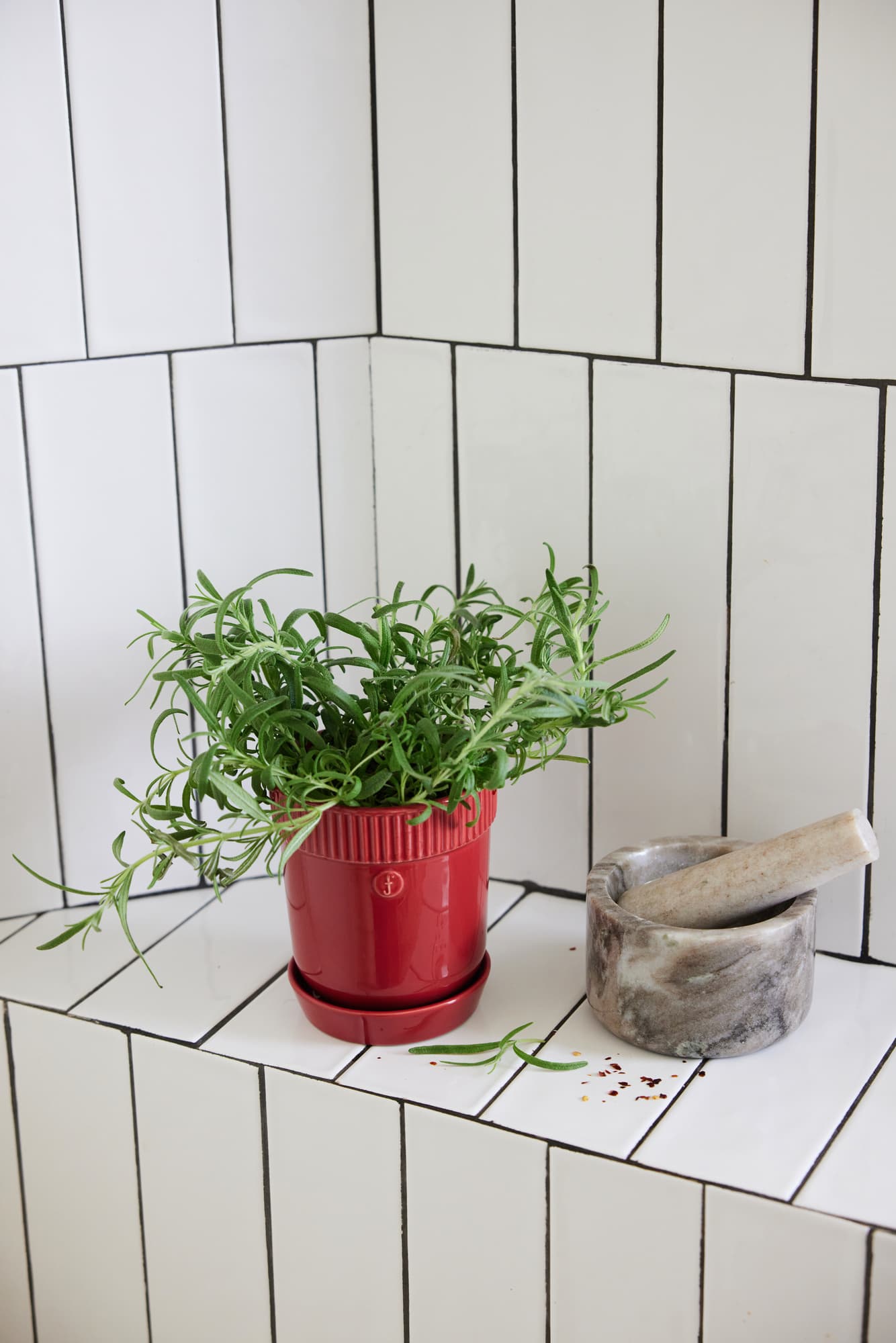 Elise Urtekrukke – bilde 5