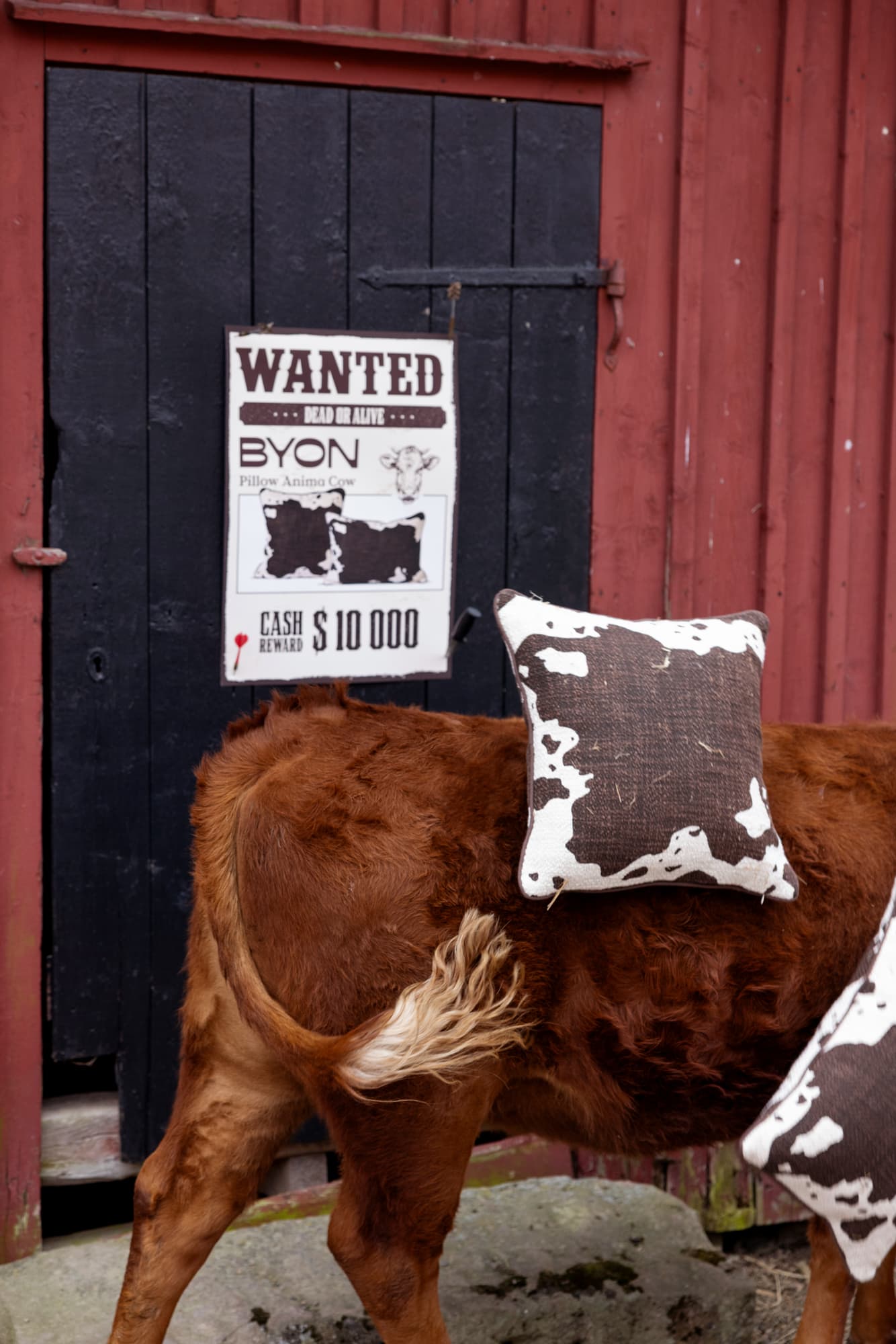 Pute Anima cow M – bilde 5