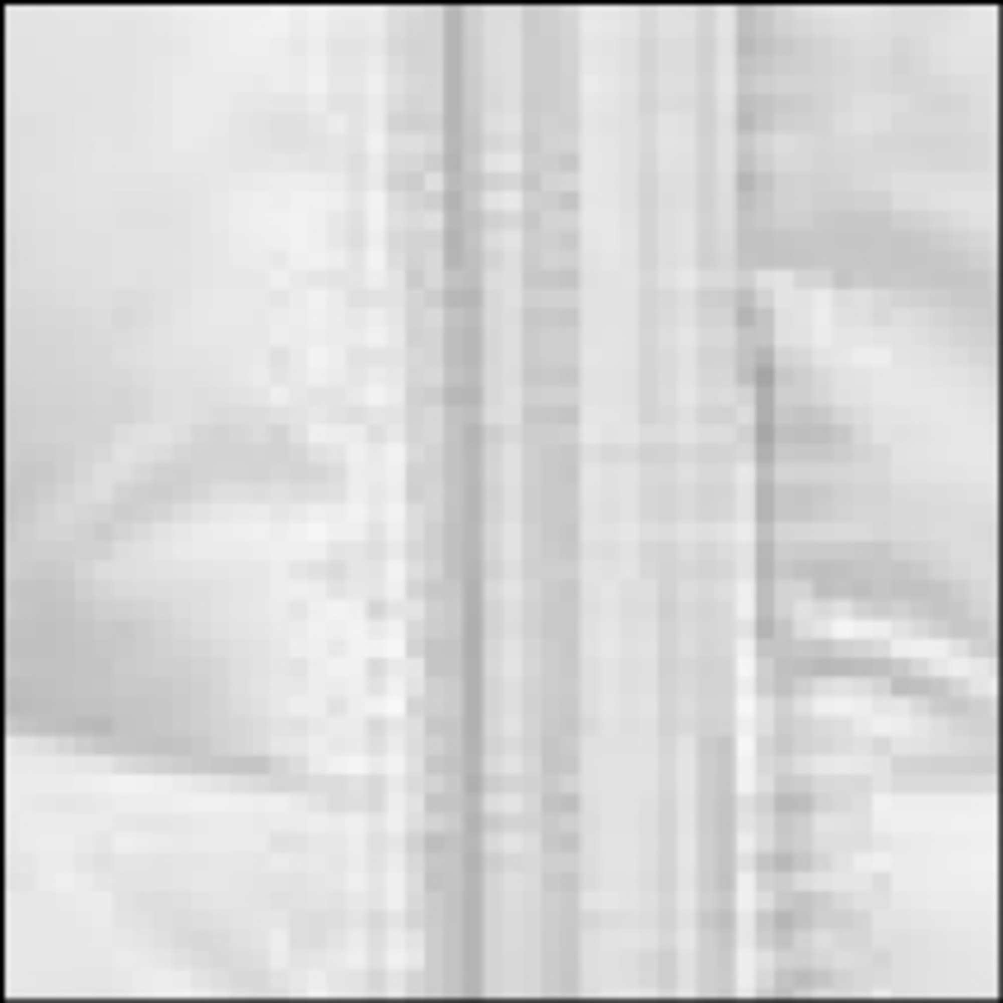 Base Vest – bilde 2