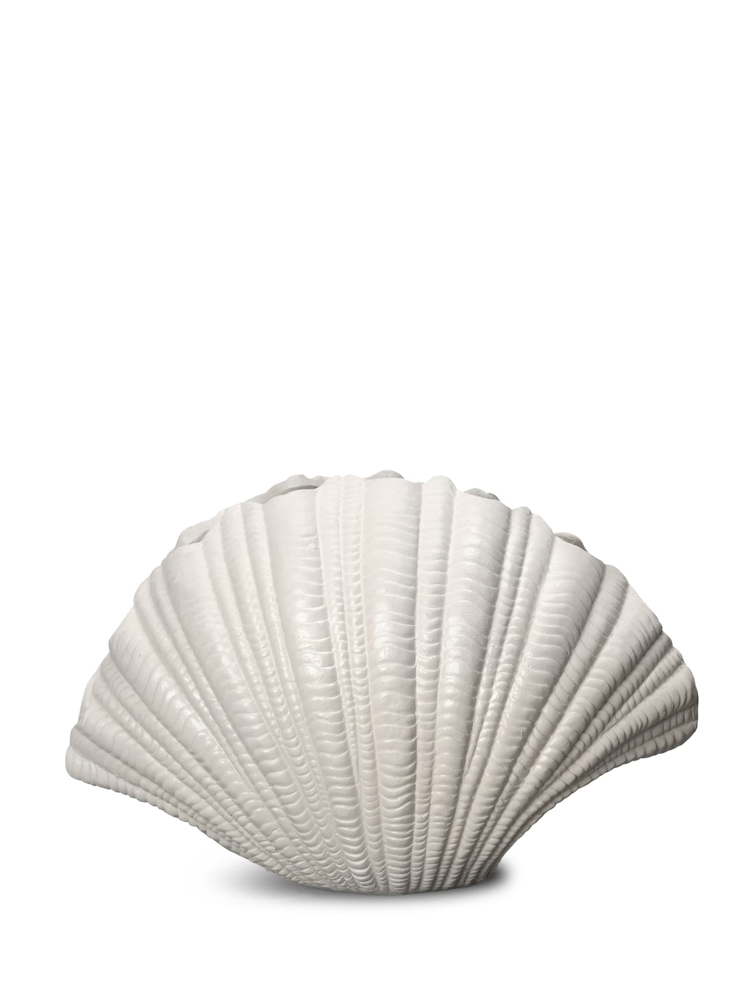 Vase Shell – bilde 1