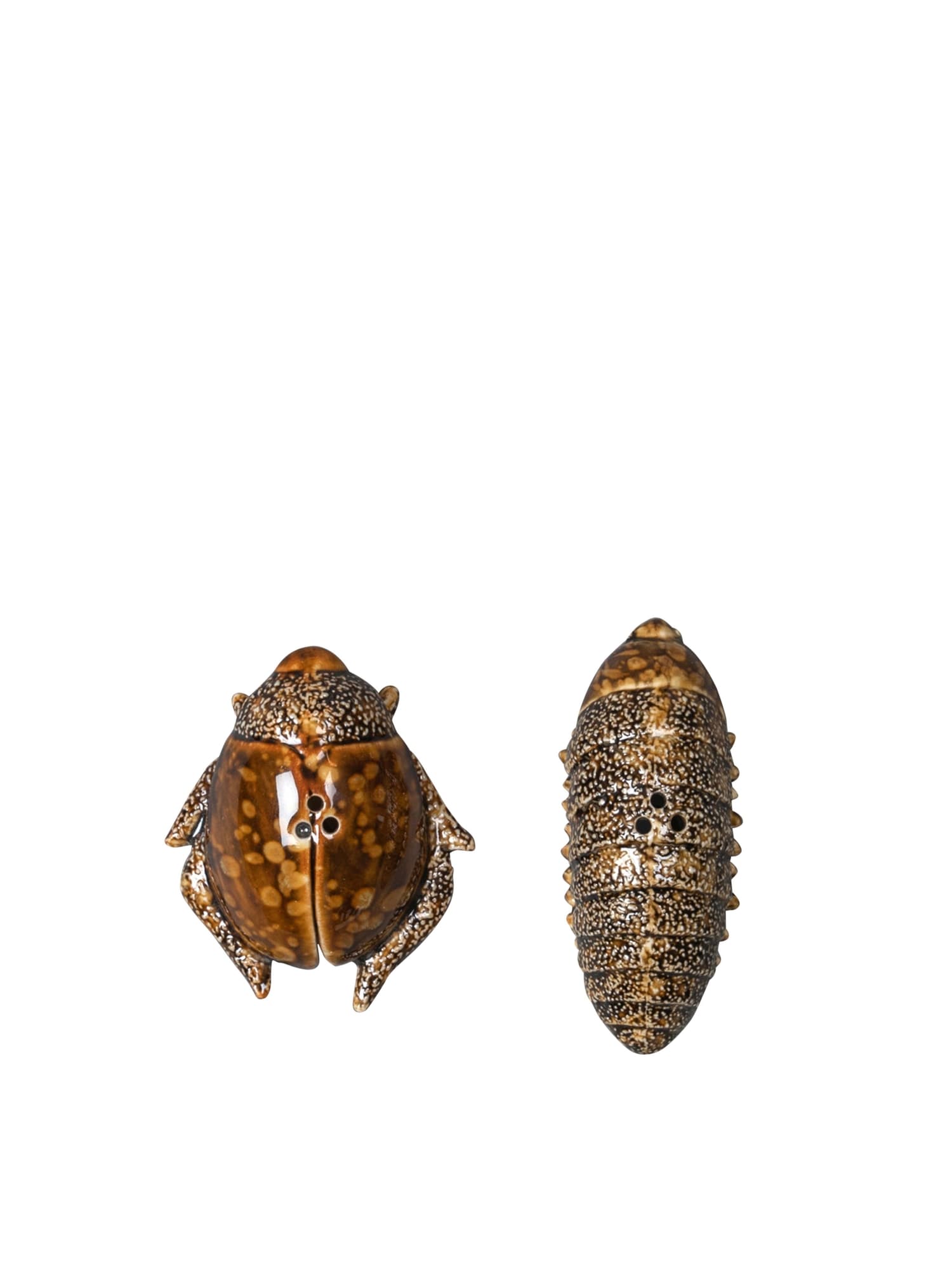 Salt & pepper Bug – bilde 1
